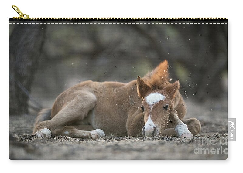 Cute Zip Pouch featuring the photograph Nap Time by Shannon Hastings