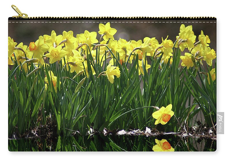 Narcissus Carry-all Pouch featuring the photograph Narcissus by Steve Karol
