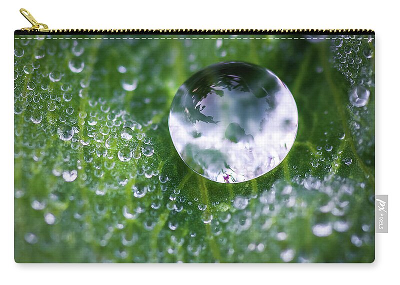 Dew Zip Pouch featuring the photograph Natures Crystal Ball by Brad Bellisle