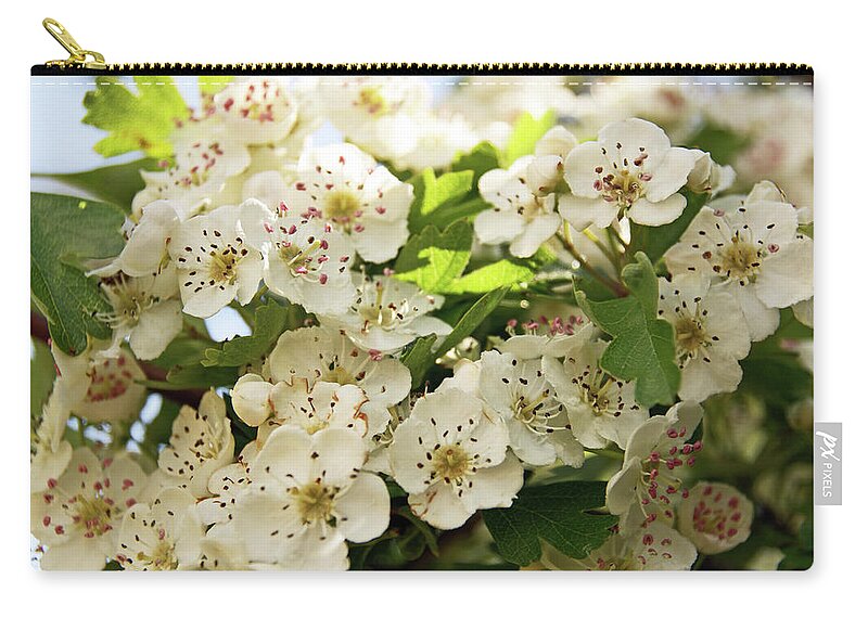 Neston Carry-all Pouch featuring the photograph NESTON. Hawthorn Blossom. by Lachlan Main