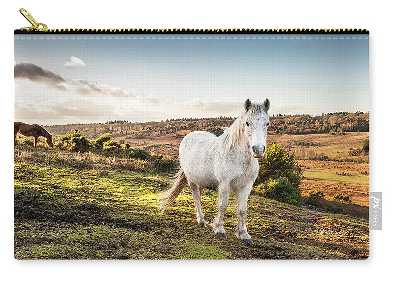 Horse Zip Pouch featuring the photograph New Forest Ponies Roaming Wild by Projectb