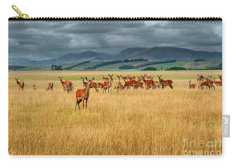 Landscape Zip Pouch featuring the photograph New Zealand landscape and reindeer by Hanna Tor