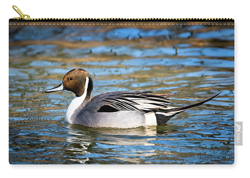 Northern Pintail Duck Zip Pouch by Garrick Besterwitch - Pixels