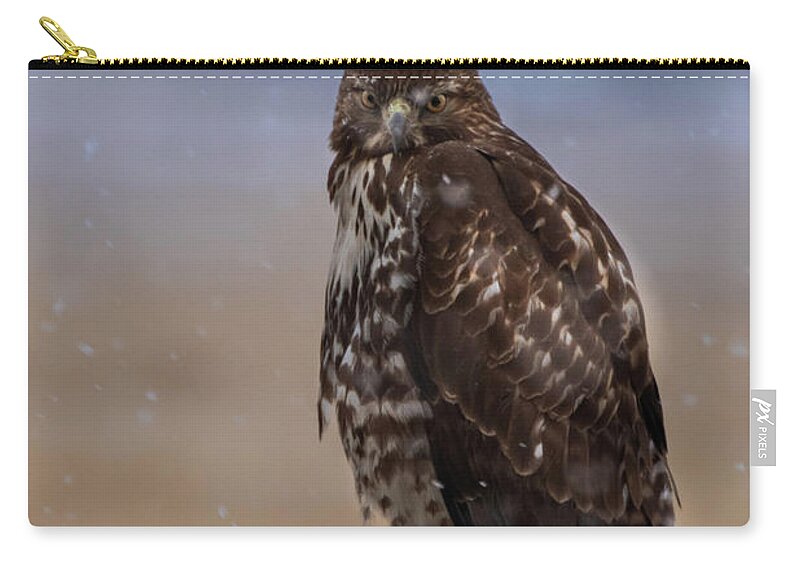 Hawk Zip Pouch featuring the photograph Not Impressed by Randy Robbins