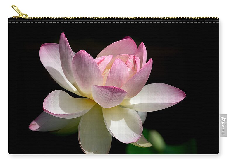 Lotus Carry-all Pouch featuring the photograph Not Your Average Waterlily by Linda Bonaccorsi