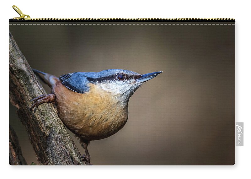Bird's Zip Pouch featuring the photograph Nuthatch 01 by Chris Smith