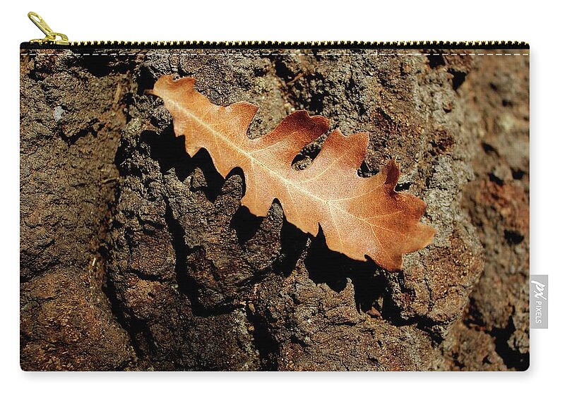 Oak Zip Pouch featuring the photograph Oak leaf on bark by Martin Smith