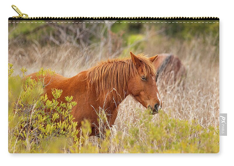2019 Zip Pouch featuring the photograph OBX Mare by Donna Twiford