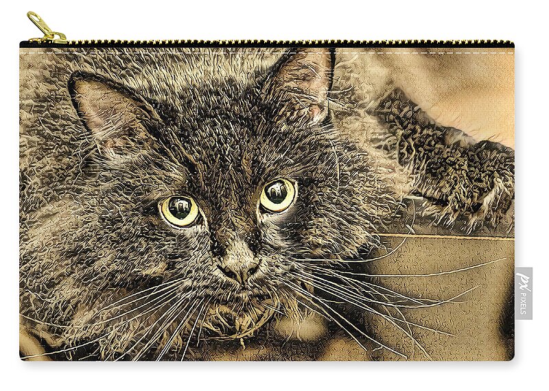 Kitten Zip Pouch featuring the digital art Oh What Big Eyes You have by Don Northup