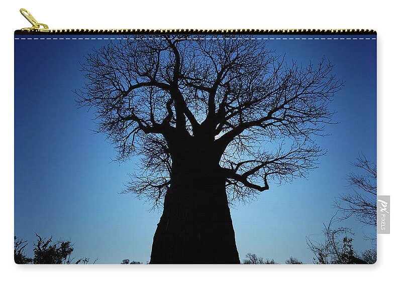 00543246 Zip Pouch featuring the photograph Okavango Baobab Silhouette by Hiroya Minakuchi