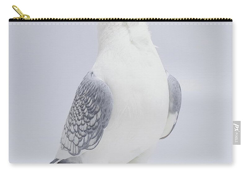 Old Fashioned Oriental Frill Zip Pouch featuring the photograph Old Fashioned Oriental Frill Pigeon by Nathan Abbott