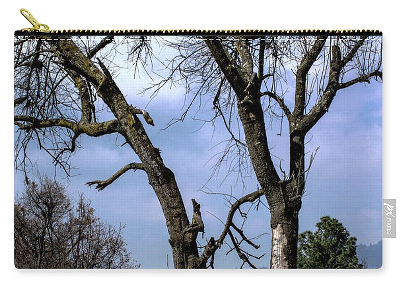 Landscape Zip Pouch featuring the photograph Old Tree Xela by Totto Ponce