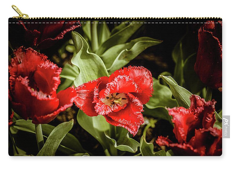 America Zip Pouch featuring the photograph On the Fringe by ProPeak Photography