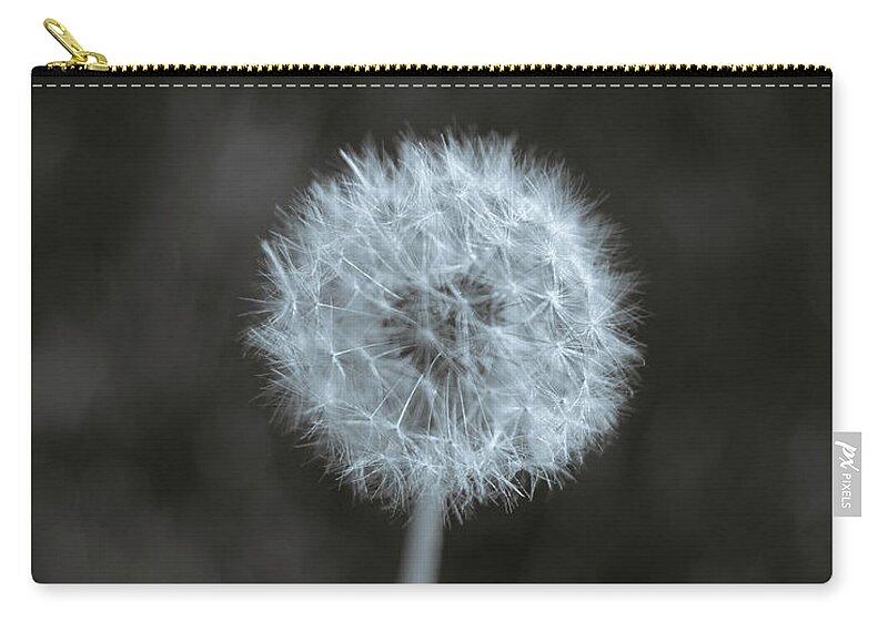 Winterpacht Zip Pouch featuring the photograph One in a Field by Miguel Winterpacht