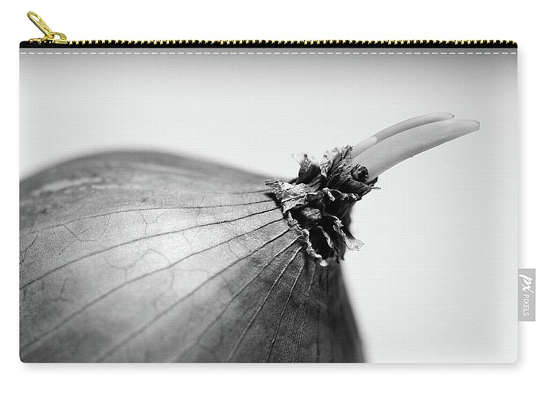 White Background Zip Pouch featuring the photograph Onion Sprout by Universal Stopping Point Photography