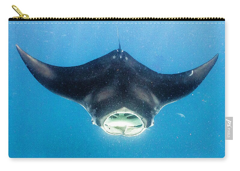 Ocean Carry-all Pouch featuring the photograph Open Wide by Lynne Browne