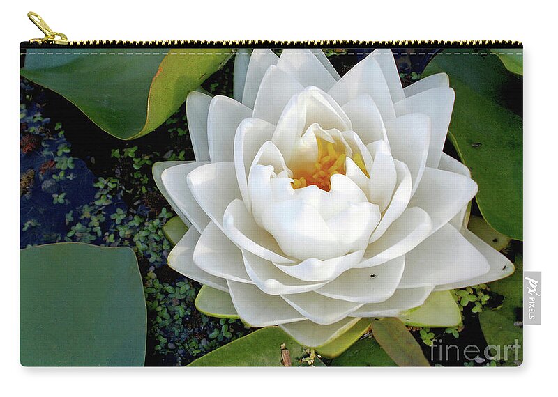 Flower Zip Pouch featuring the photograph Optical Illusion in a Waterlily by Kaye Menner