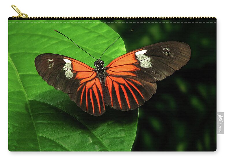 Shadow Zip Pouch featuring the photograph Orange And Black Longwing Butterfly by Melinda Moore