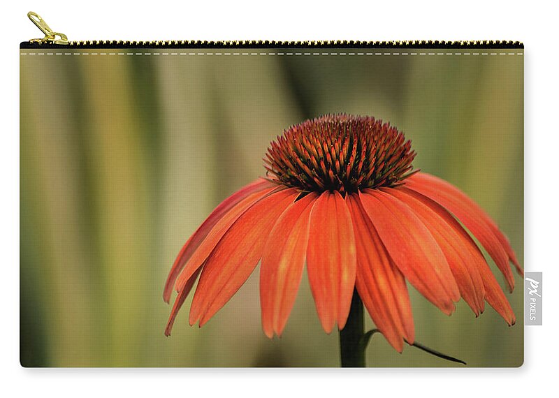 Flower Zip Pouch featuring the photograph Orange Cone Flower by Don Johnson