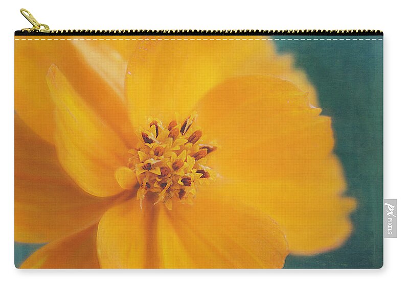 Cosmos Zip Pouch featuring the photograph Orange Cosmos by Cindi Ressler