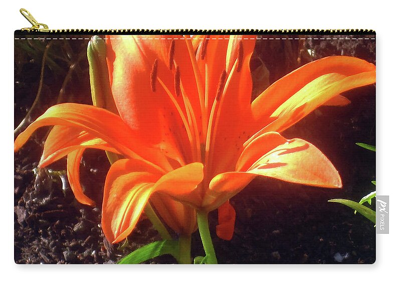 Orange Zip Pouch featuring the photograph Orange Garden Flower by Jaeda DeWalt