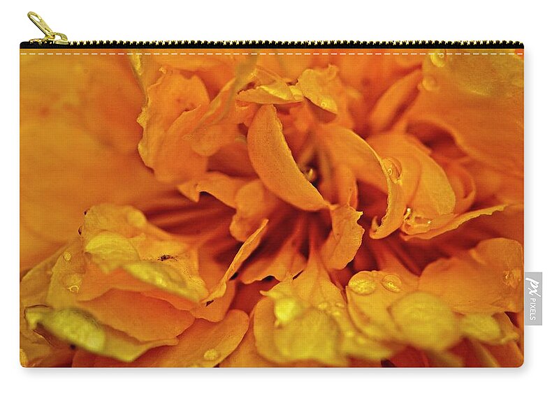 Nature Zip Pouch featuring the photograph Orange Kist by John Benedict