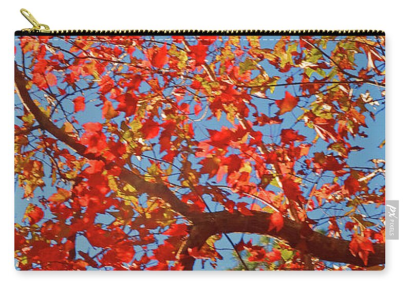  Zip Pouch featuring the photograph Orange Leaves by Eunice Warfel