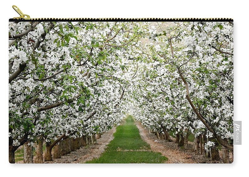 Orchard Zip Pouch featuring the photograph Orchard in Bloom by Robin Dickinson