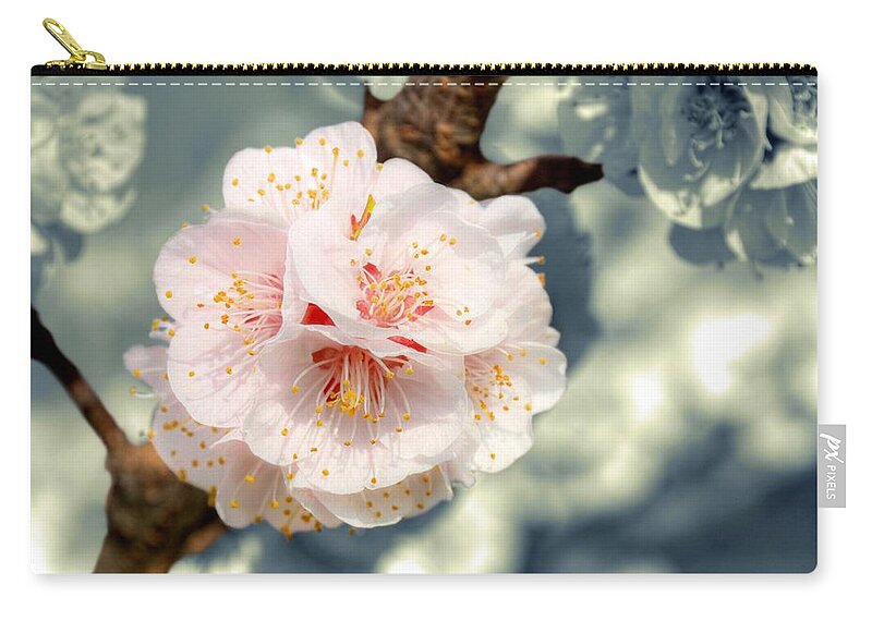 Petal Zip Pouch featuring the photograph Orchard Of Apricot Trees by Alain Cachat