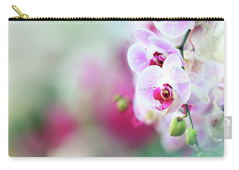 Hanging Zip Pouch featuring the photograph Orchid Background by Borchee