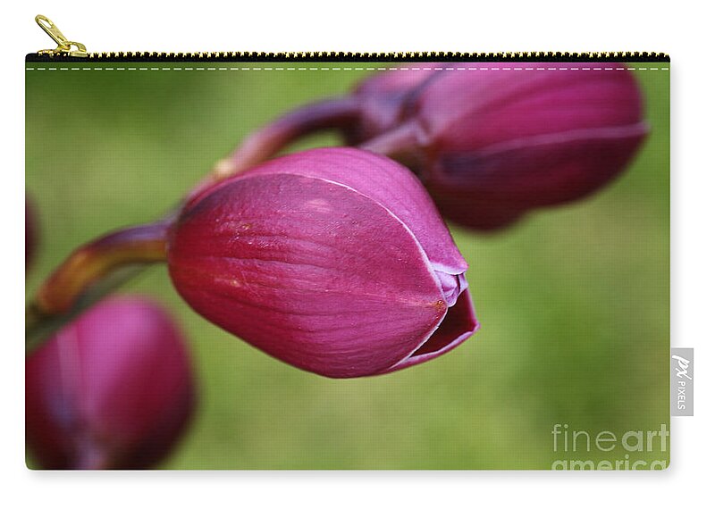 Asparagales Zip Pouch featuring the photograph Orchid Buds by Joy Watson