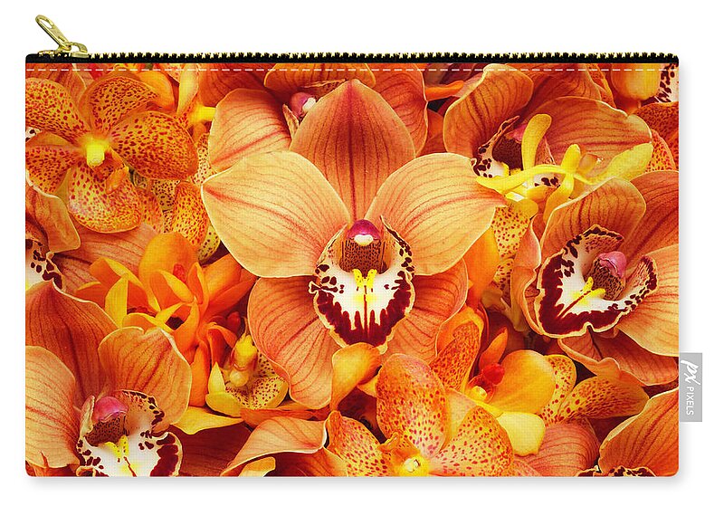 Orange Color Zip Pouch featuring the photograph Orchid Flowers by Davies And Starr