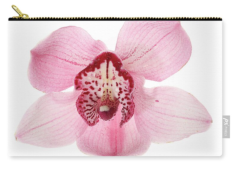 White Background Zip Pouch featuring the photograph Orchid by Frytka