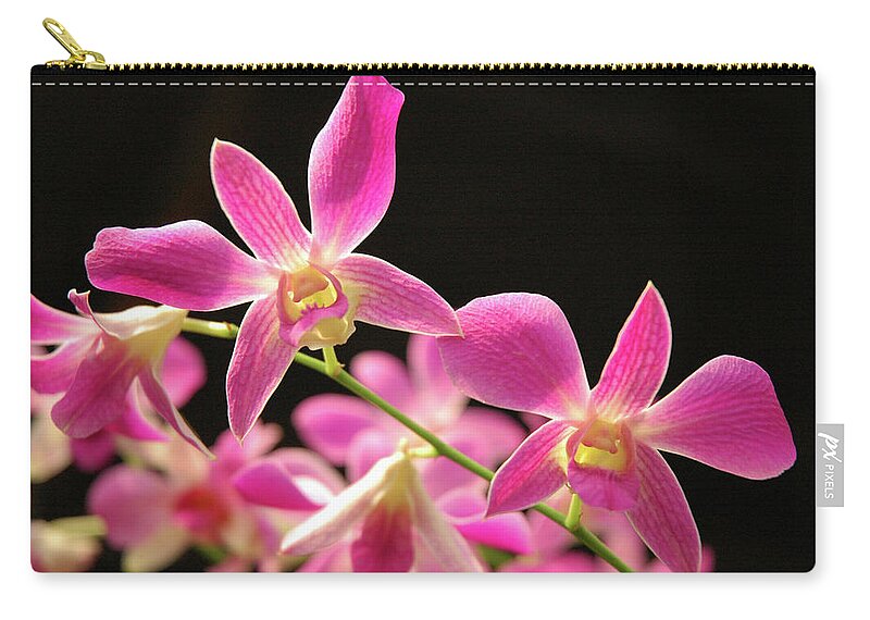 Petal Zip Pouch featuring the photograph Orchid by Teeje