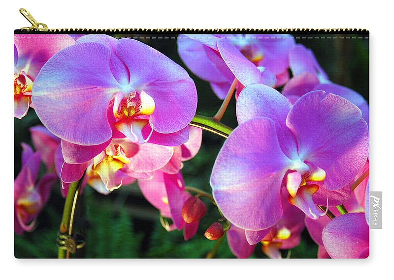 Taiwan Zip Pouch featuring the photograph Orchids by El Huang Photography