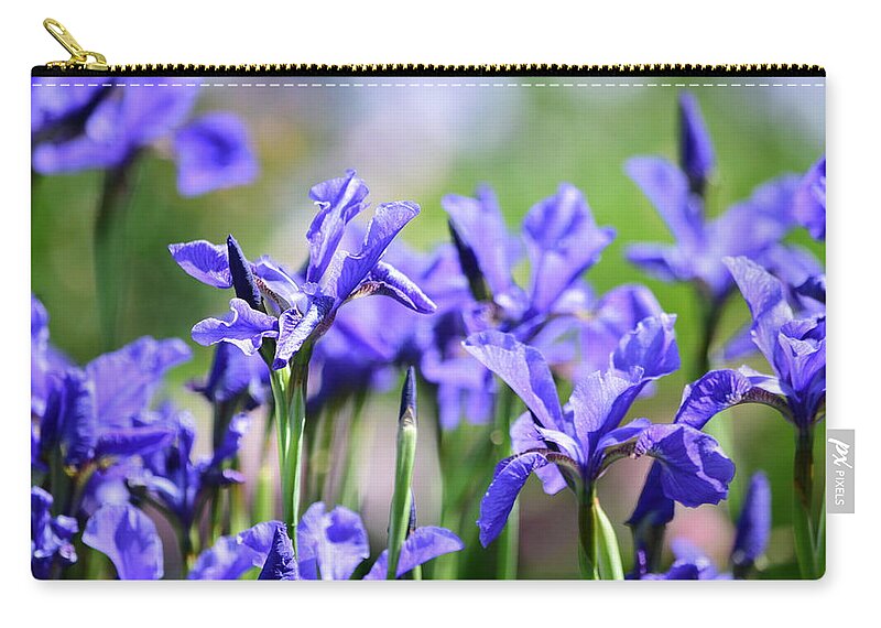 Purple Iris Zip Pouch featuring the photograph Oregon Iris by Bonnie Bruno