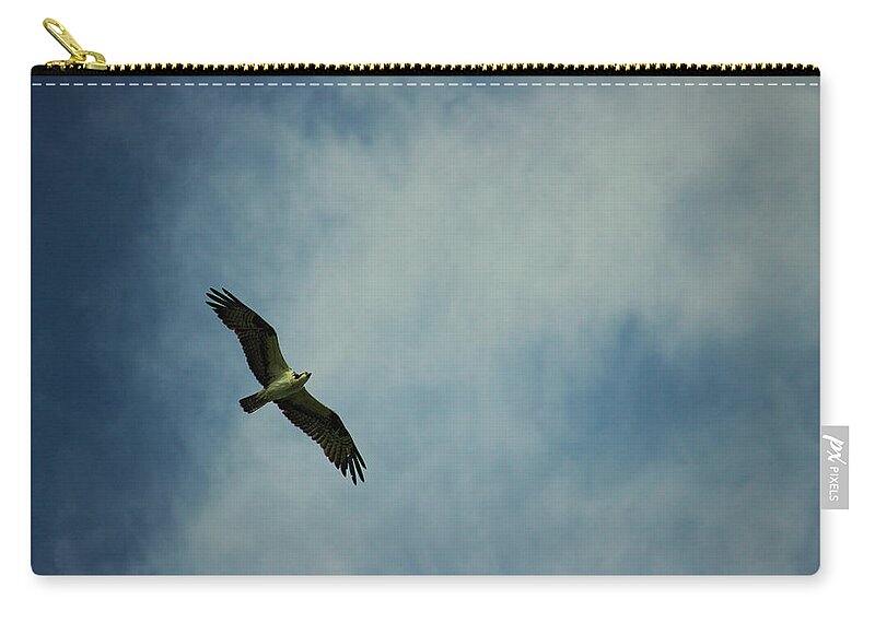 Idaho Zip Pouch featuring the photograph Osprey in flight by Jean Evans