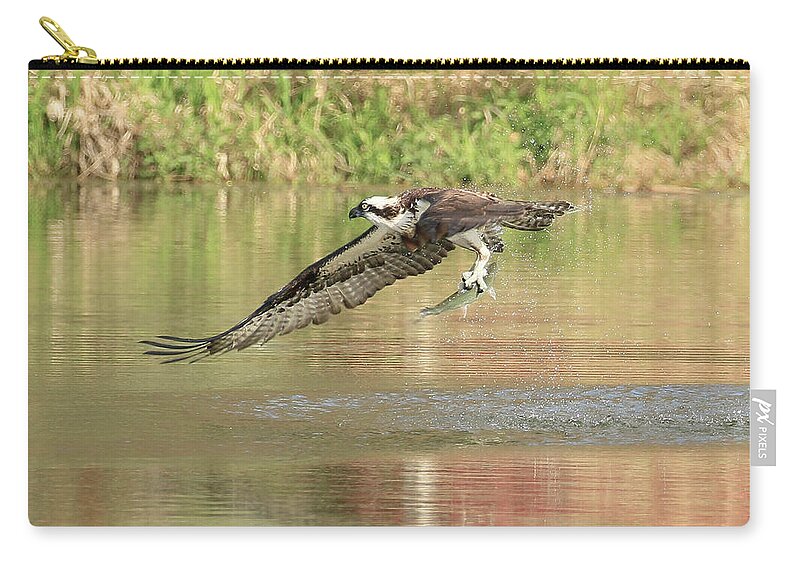 Osprey Zip Pouch featuring the photograph Osprey With Fish by Steve McKinzie