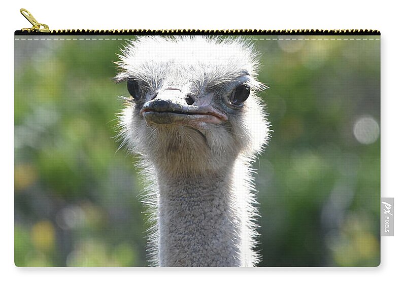 Ostrich Carry-all Pouch featuring the photograph Ostrich Closeup by Ben Foster