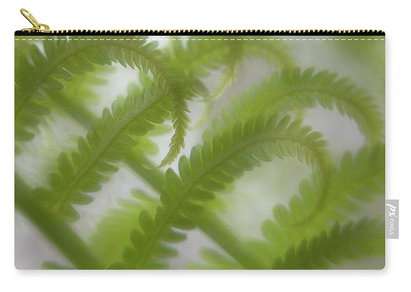 Ostrich Fern Zip Pouch featuring the photograph Ostrich Fern Frond Pattern Of Curves by Kathleen Clemons