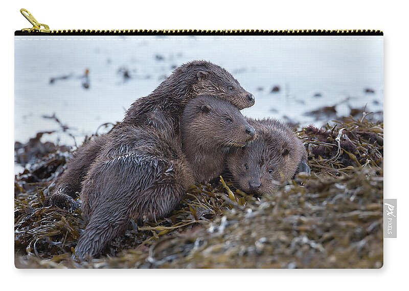 Otter Zip Pouch featuring the photograph Otter Family Together by Pete Walkden