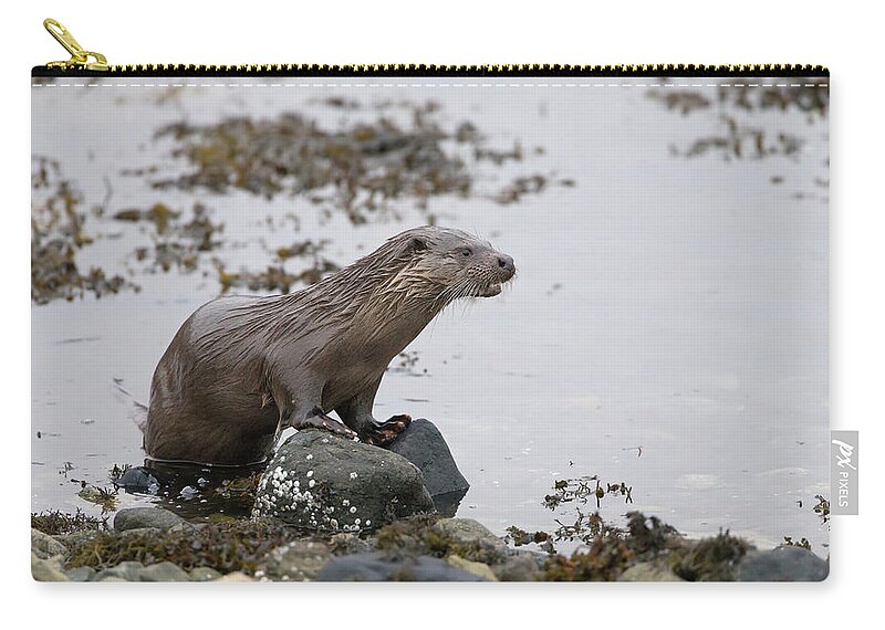Otter Zip Pouch featuring the photograph Otter On Rocks by Pete Walkden