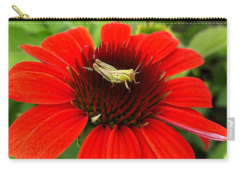 Insect Carry-all Pouch featuring the photograph Ouch Ouch Ouch by Dani McEvoy