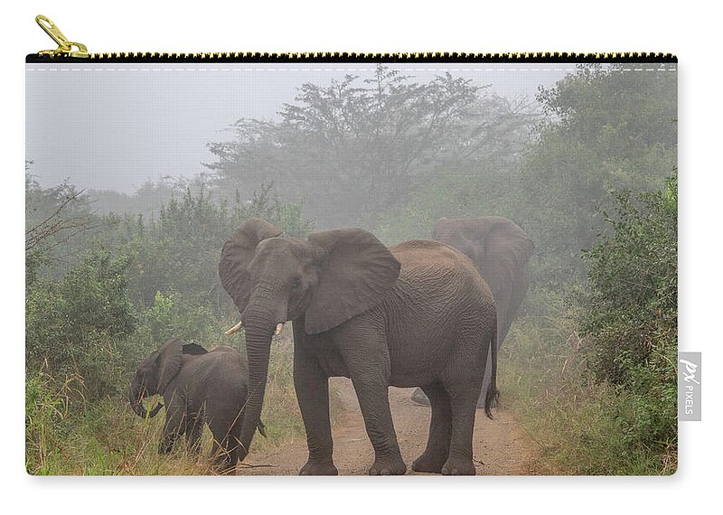 Hluhluwe-imfolozi Park Carry-all Pouch featuring the photograph Out of the Fog in Hluhluwe by Marcy Wielfaert