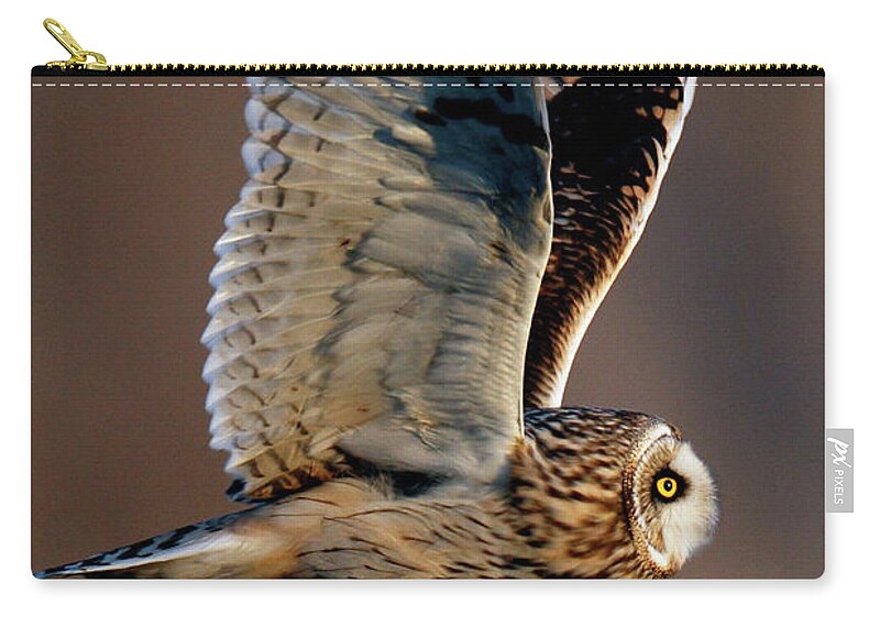 Animal Themes Zip Pouch featuring the photograph Owl Flying by Shedrick Sloane