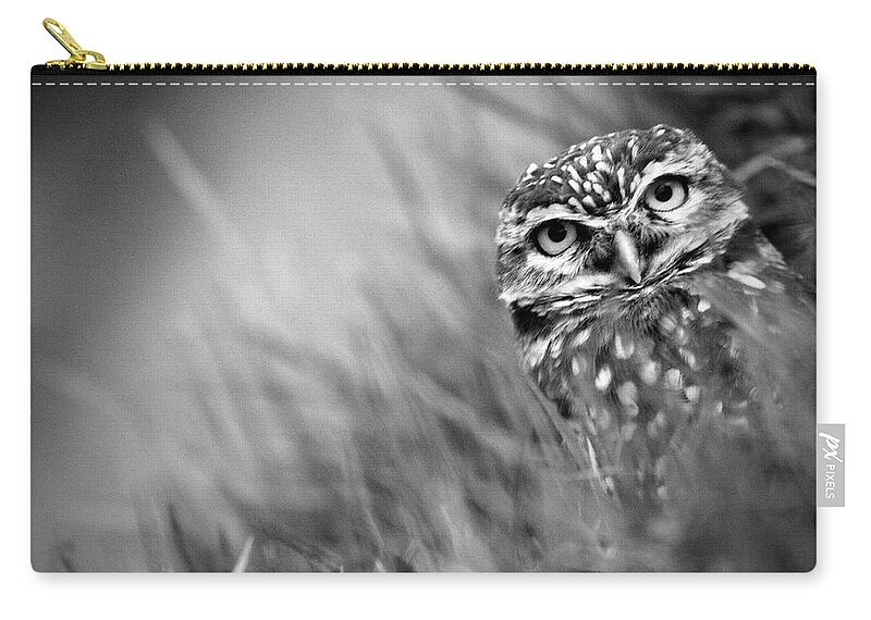 Grass Zip Pouch featuring the photograph Owl In Grass by Adriana Casellato