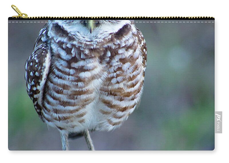 Cape Coral Zip Pouch featuring the photograph Owl Standing On Wooden Post by Nancy Rose