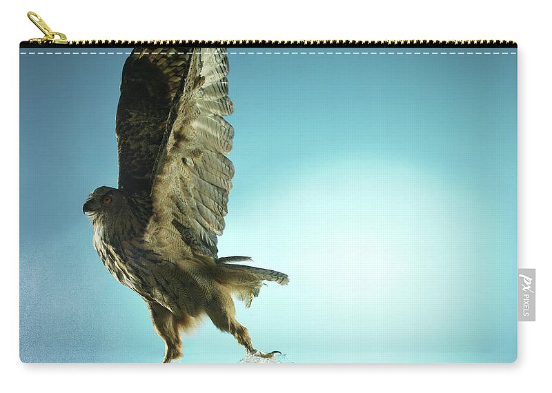 One Animal Zip Pouch featuring the photograph Owl With Wings Raised, Studio Shot by Biwa Studio