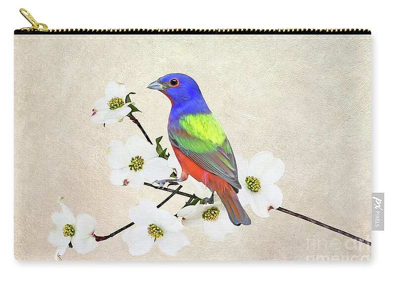 Painted Bunting Zip Pouch featuring the photograph Painted Bunting by Laura D Young