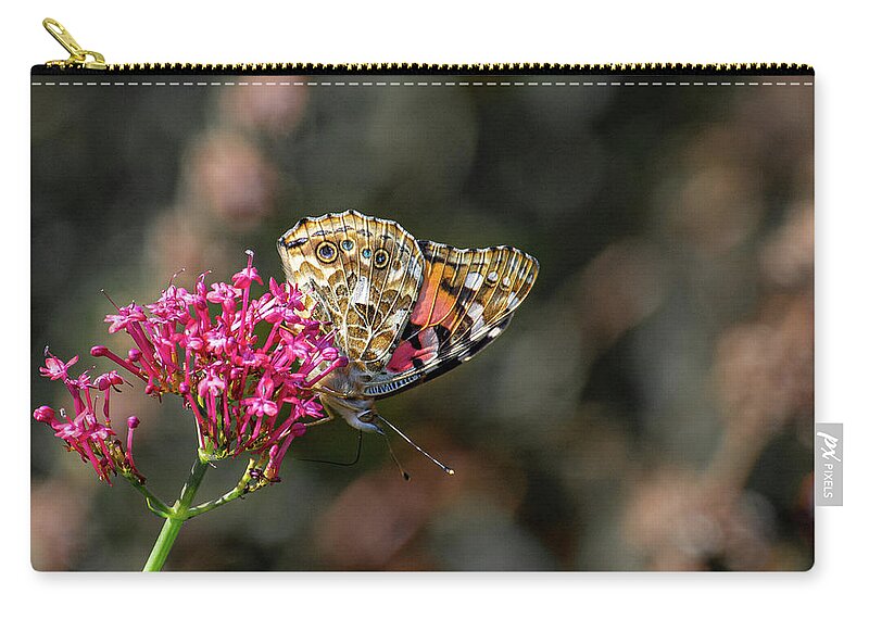 Bright Zip Pouch featuring the photograph Painted Lady Butterfly with wings closed by Scott Lyons